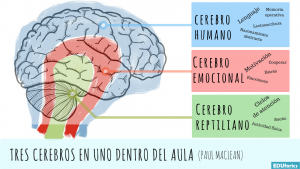 cerebro